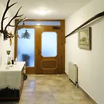 Eberharter By Interhome Feriehus Mayrhofen